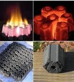 ʲô�����ն�ú���ն�ú��̼�O��