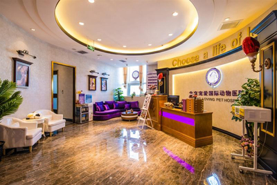 資本看好動(dòng)物醫(yī)療賽道 寵愛國(guó)際完成C輪數(shù)億元融資成為市場(chǎng)標(biāo)桿